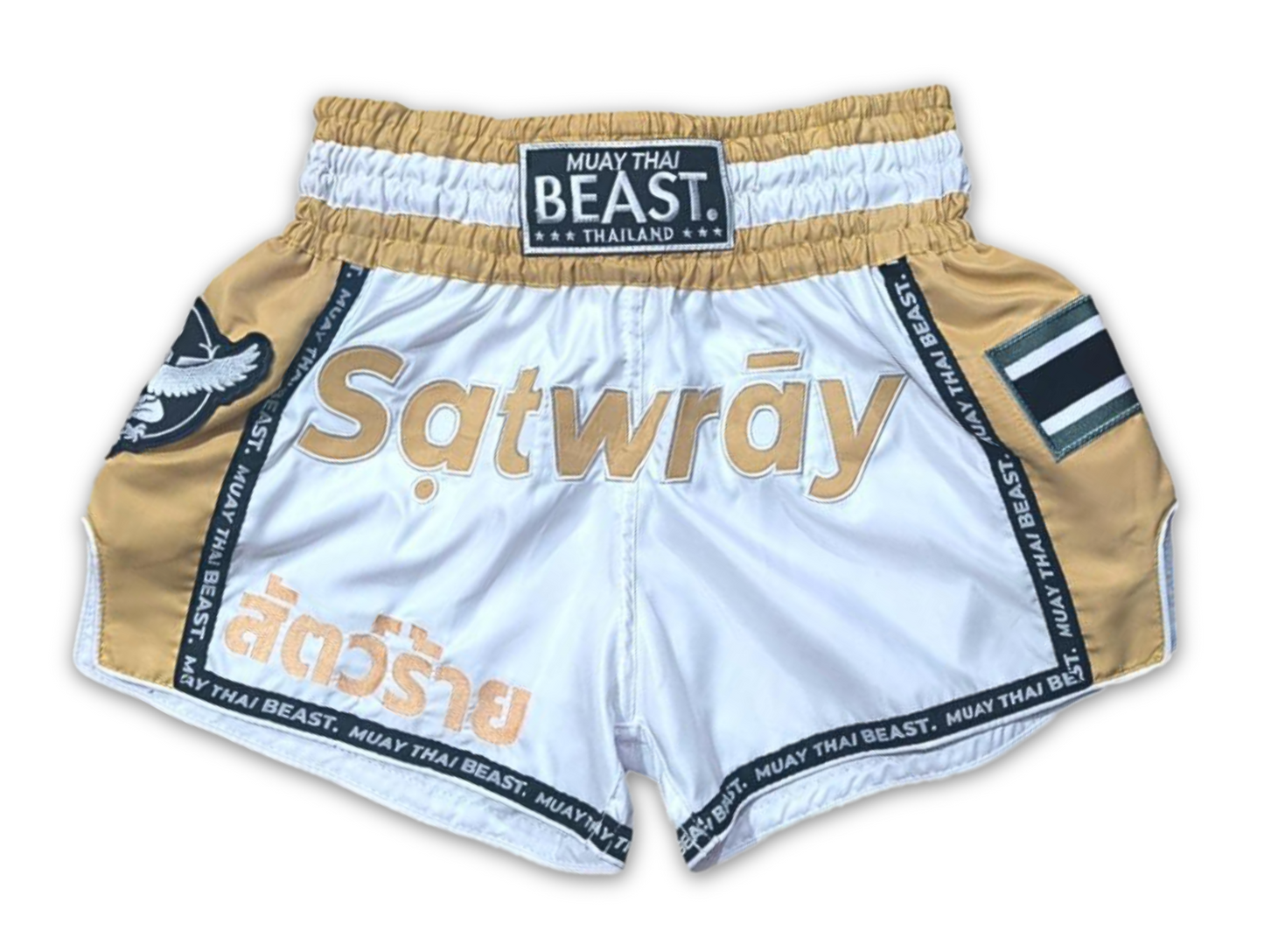 V2 Youth Collection Muay Thai Shorts - "Champion"